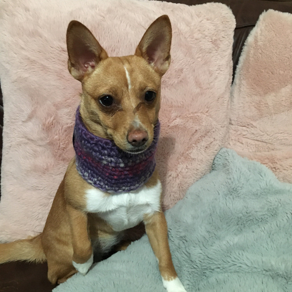 Ombré Purple & Pink Crochet Dog Snood / Buff-4
